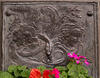  B005528corcroofm